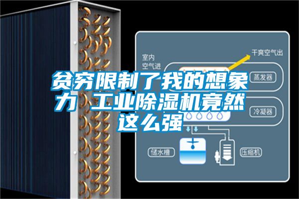 贫穷限制了我的想象力 工业91抖音免费看片竟然这么强
