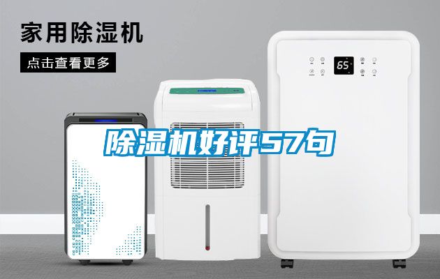 91抖音免费看片好评57句