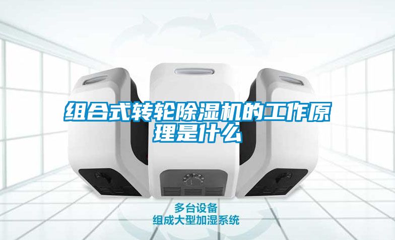 组合式转轮91抖音免费看片的工作原理是什么