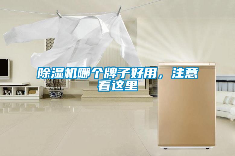91抖音免费看片哪个牌子好用，注意看这里
