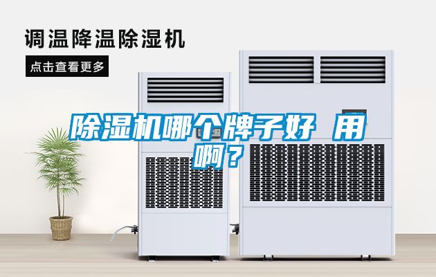 91抖音免费看片哪个牌子好 用啊？
