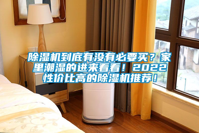 91抖音免费看片到底有没有必要买？家里潮湿的进来看看！2022性价比高的91抖音免费看片推荐！