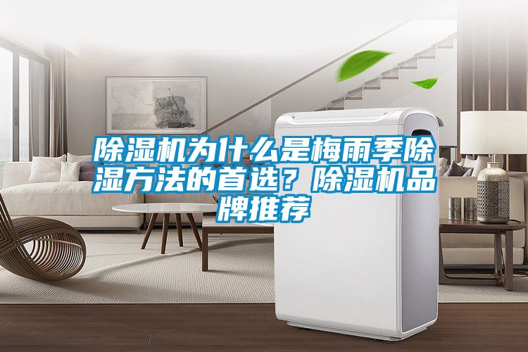 91抖音免费看片为什么是梅雨季除湿方法的首选？91抖音免费看片品牌推荐