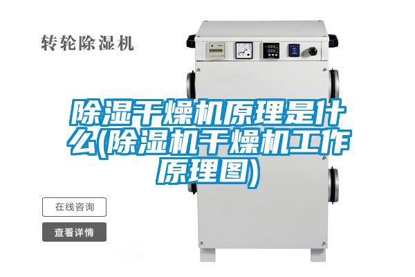 除湿干燥机原理是什么(91抖音免费看片干燥机工作原理图)