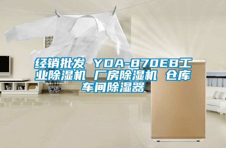 经销批发 YDA-870EB工业91抖音免费看片 厂房91抖音免费看片 仓库车间除湿器