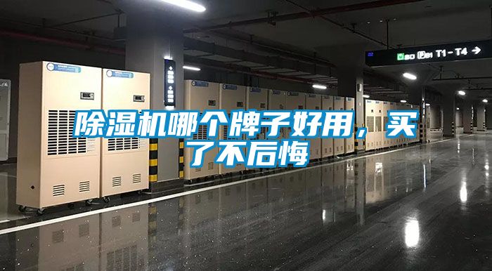 91抖音免费看片哪个牌子好用，买了不后悔