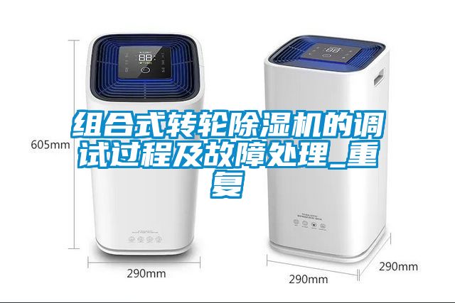 组合式转轮91抖音免费看片的调试过程及故障处理_重复