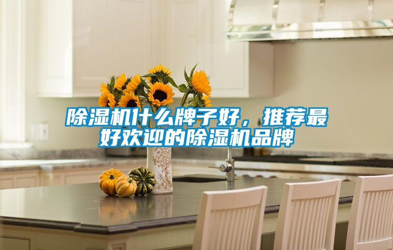 91抖音免费看片什么牌子好，推荐最好欢迎的91抖音免费看片品牌