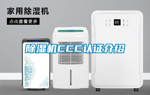 91抖音免费看片CCC认证介绍