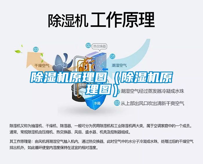91抖音免费看片原理图（91抖音免费看片原理图）