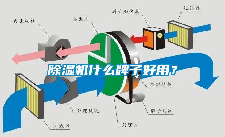 91抖音免费看片什么牌子好用？