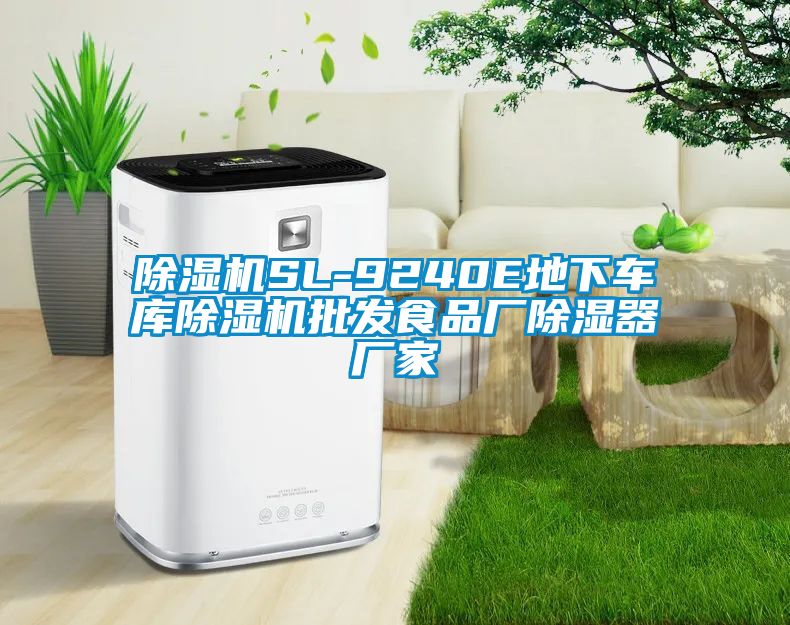 91抖音免费看片SL-9240E地下车库91抖音免费看片批发食品厂除湿器厂家