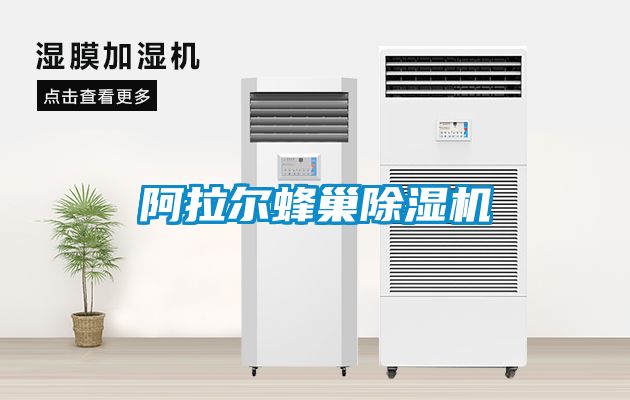 阿拉尔蜂巢91抖音免费看片