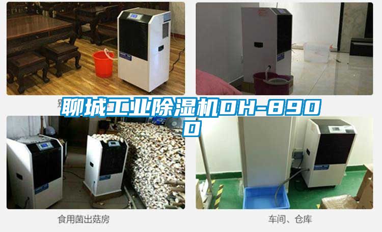 聊城工业91抖音免费看片DH-890D