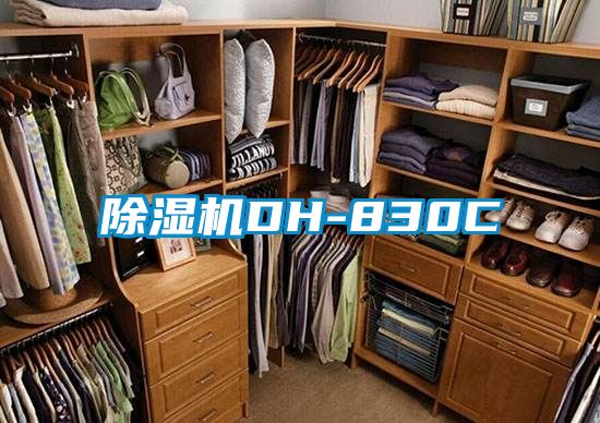 91抖音免费看片DH-830C