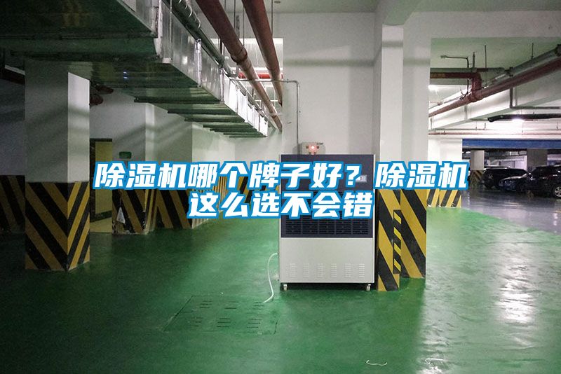 91抖音免费看片哪个牌子好？91抖音免费看片这么选不会错