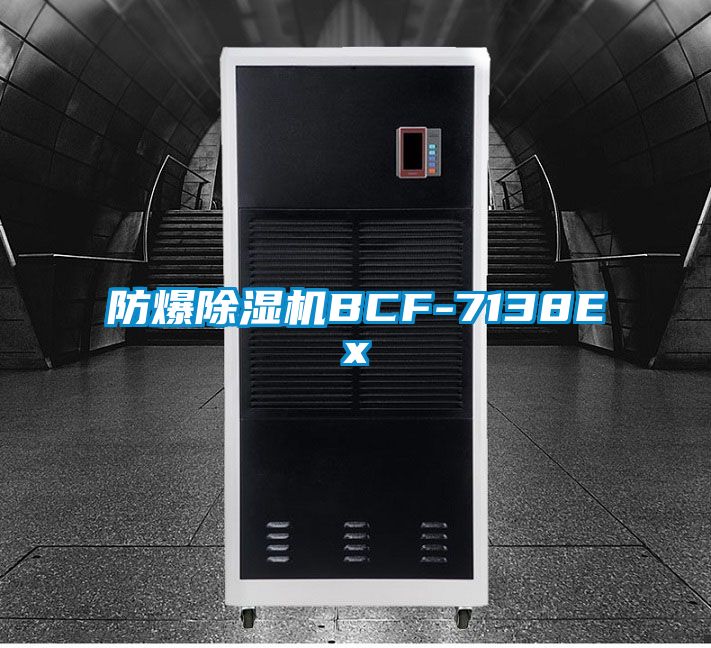 防爆91抖音免费看片BCF-7138Ex