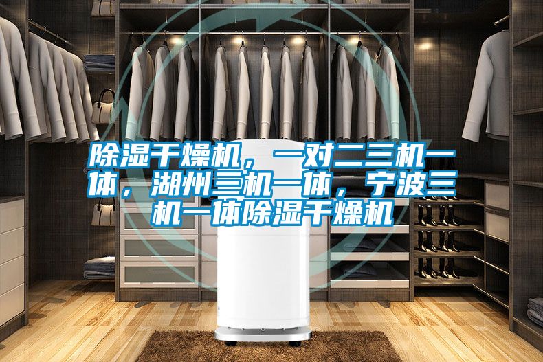 除湿干燥机，一对二三机一体，湖州三机一体，宁波三机一体除湿干燥机