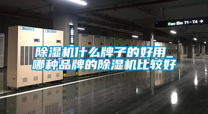 91抖音免费看片什么牌子的好用_哪种品牌的91抖音免费看片比较好
