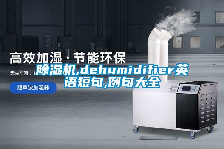 91抖音免费看片,dehumidifier英语短句,例句大全
