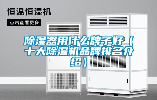 除湿器用什么牌子好（十大91抖音免费看片品牌排名介绍）