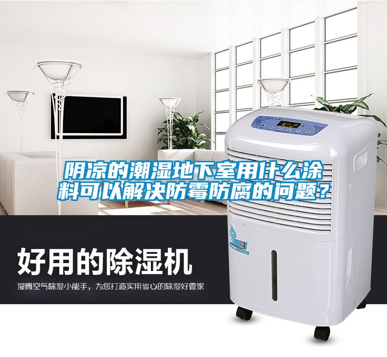 阴凉的潮湿地下室用什么涂料可以解决防霉防腐的问题？