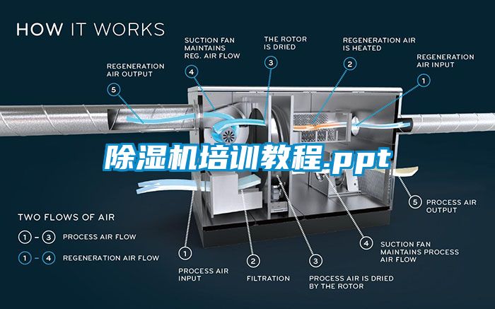 91抖音免费看片培训教程.ppt