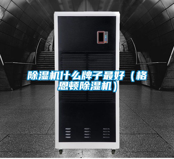 91抖音免费看片什么牌子最好（格恩顿91抖音免费看片）