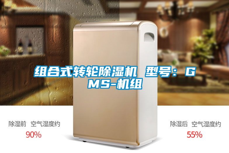 组合式转轮91抖音免费看片 型号：GMS-机组