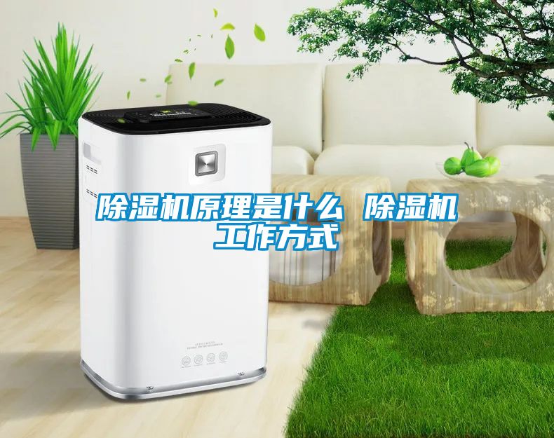 91抖音免费看片原理是什么 91抖音免费看片工作方式