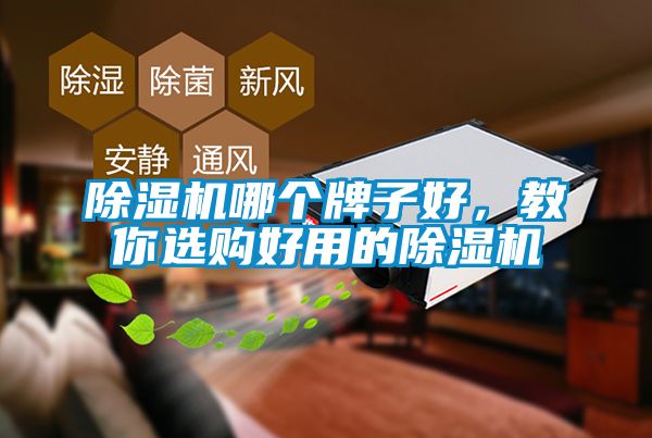 91抖音免费看片哪个牌子好，教你选购好用的91抖音免费看片