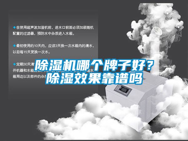 91抖音免费看片哪个牌子好？除湿效果靠谱吗
