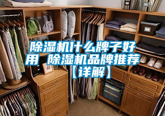 91抖音免费看片什么牌子好用 91抖音免费看片品牌推荐【详解】
