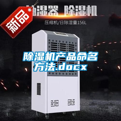 91抖音免费看片产品命名方法.docx