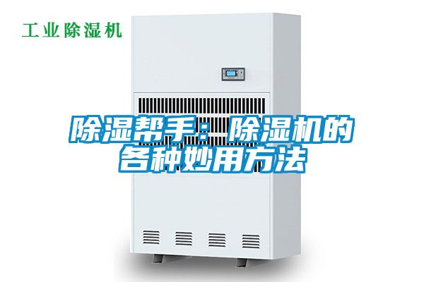 除湿帮手：91抖音免费看片的各种妙用方法