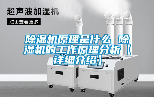 91抖音免费看片原理是什么 91抖音免费看片的工作原理分析【详细介绍】