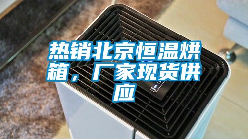 热销北京恒温烘箱，厂家现货供应