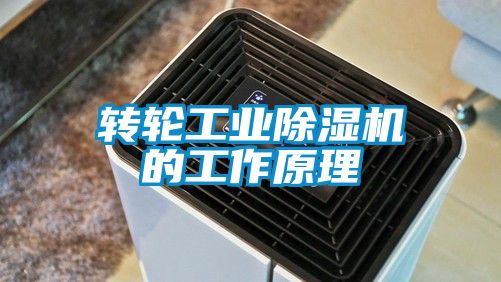 转轮工业91抖音免费看片的工作原理