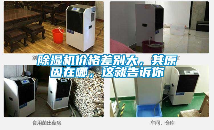91抖音免费看片价格差别大，其原因在哪，这就告诉你