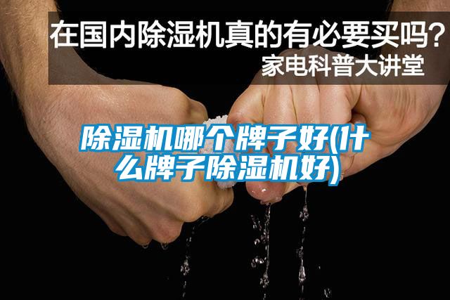 91抖音免费看片哪个牌子好(什么牌子91抖音免费看片好)