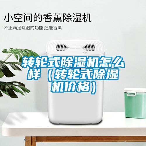 转轮式91抖音免费看片怎么样（转轮式91抖音免费看片价格）