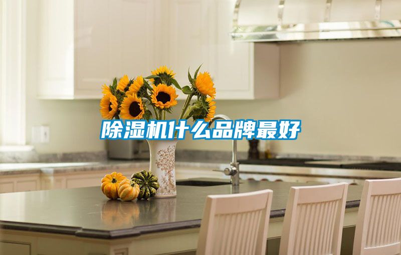 91抖音免费看片什么品牌最好