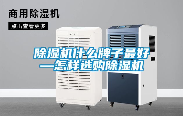 91抖音免费看片什么牌子最好—怎样选购91抖音免费看片