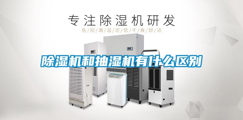 91抖音免费看片和抽湿机有什么区别