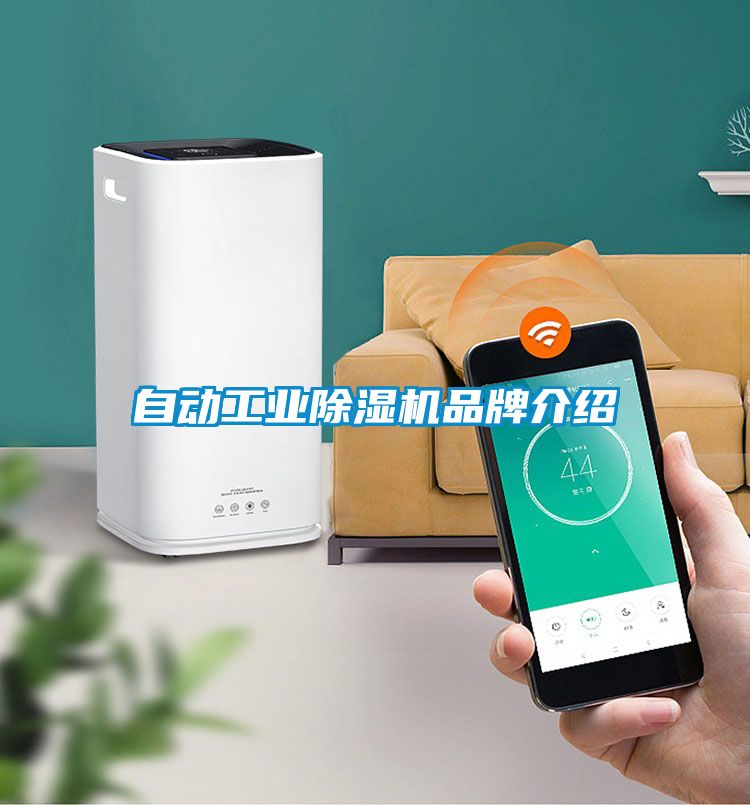 自动工业91抖音免费看片品牌介绍