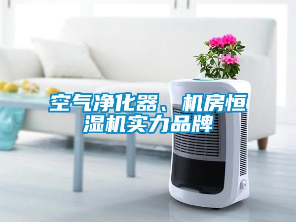 空气净化器、机房恒湿机实力品牌