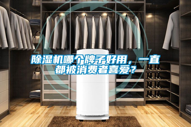 91抖音免费看片哪个牌子好用，一直都被消费者喜爱？