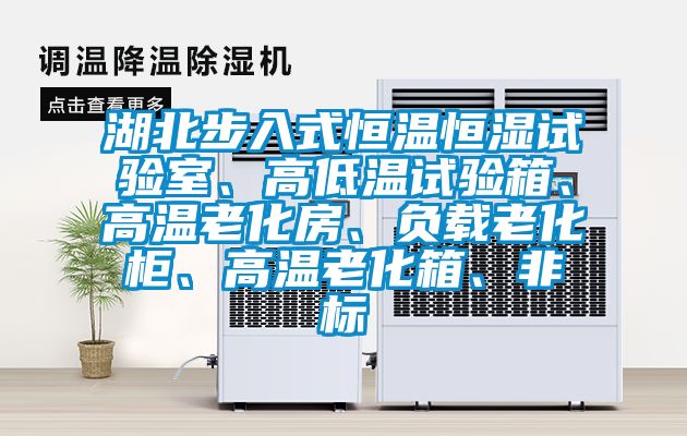 湖北步入式恒温恒湿试验室、高低温试验箱、高温老化房、负载老化柜、高温老化箱、非标