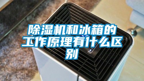 91抖音免费看片和冰箱的工作原理有什么区别