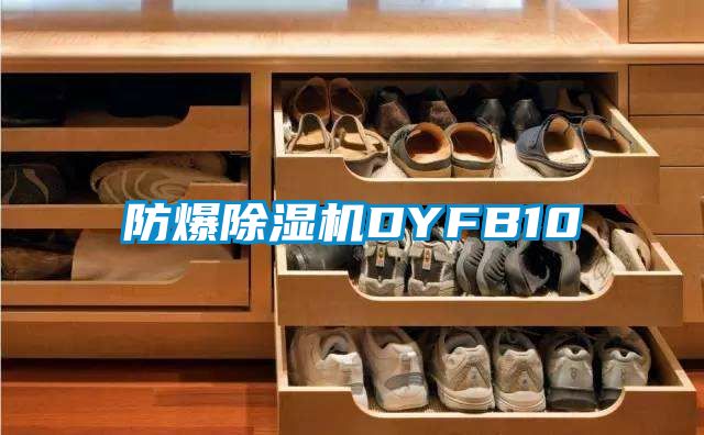 防爆91抖音免费看片DYFB10